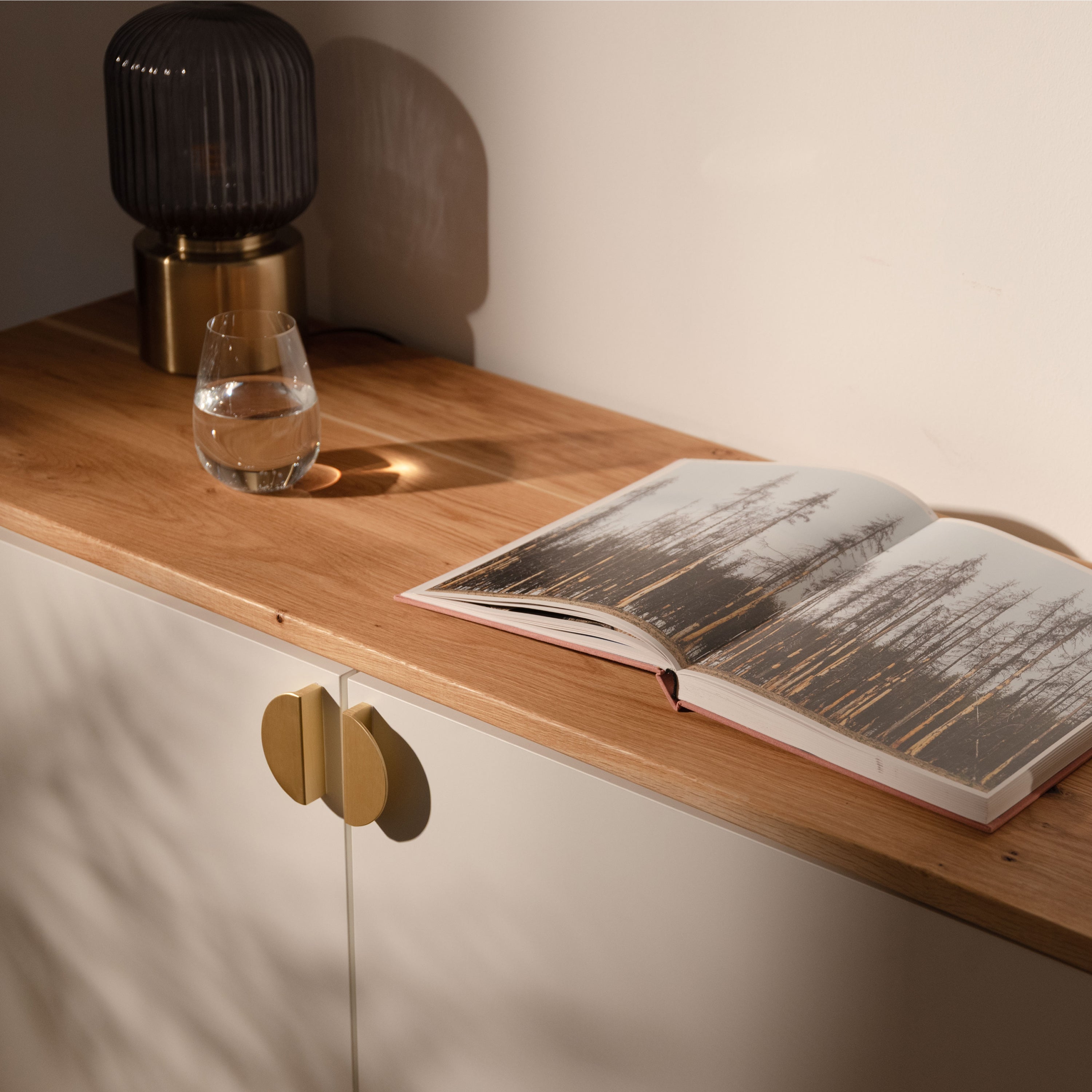 Paneles de cubierta para IKEA Besta