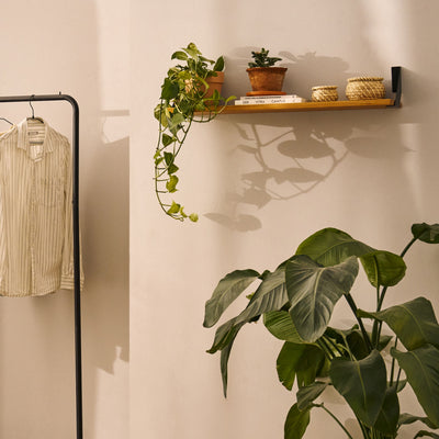 2er Set Regalhalter LICHTENBERG