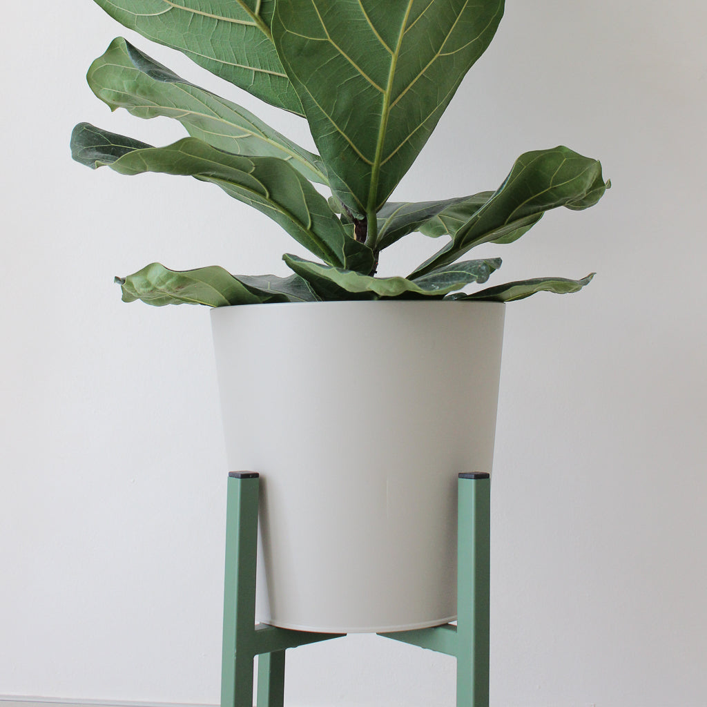 Plant stand X-FORM