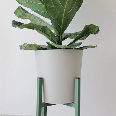 Plant stand X-FORM